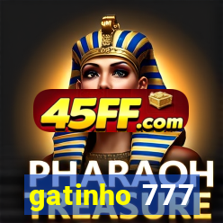 gatinho 777